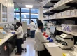 Retatrutide - The Revolutionary Peptide