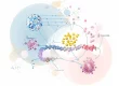 Weight Loss Peptides